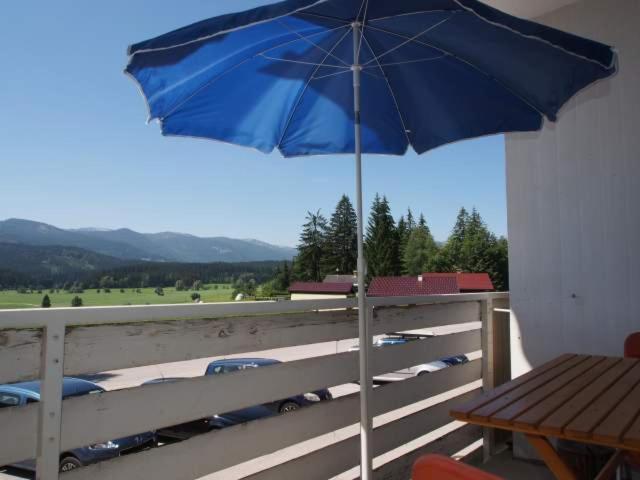Perfect Day Apartment Bad Mitterndorf Extérieur photo